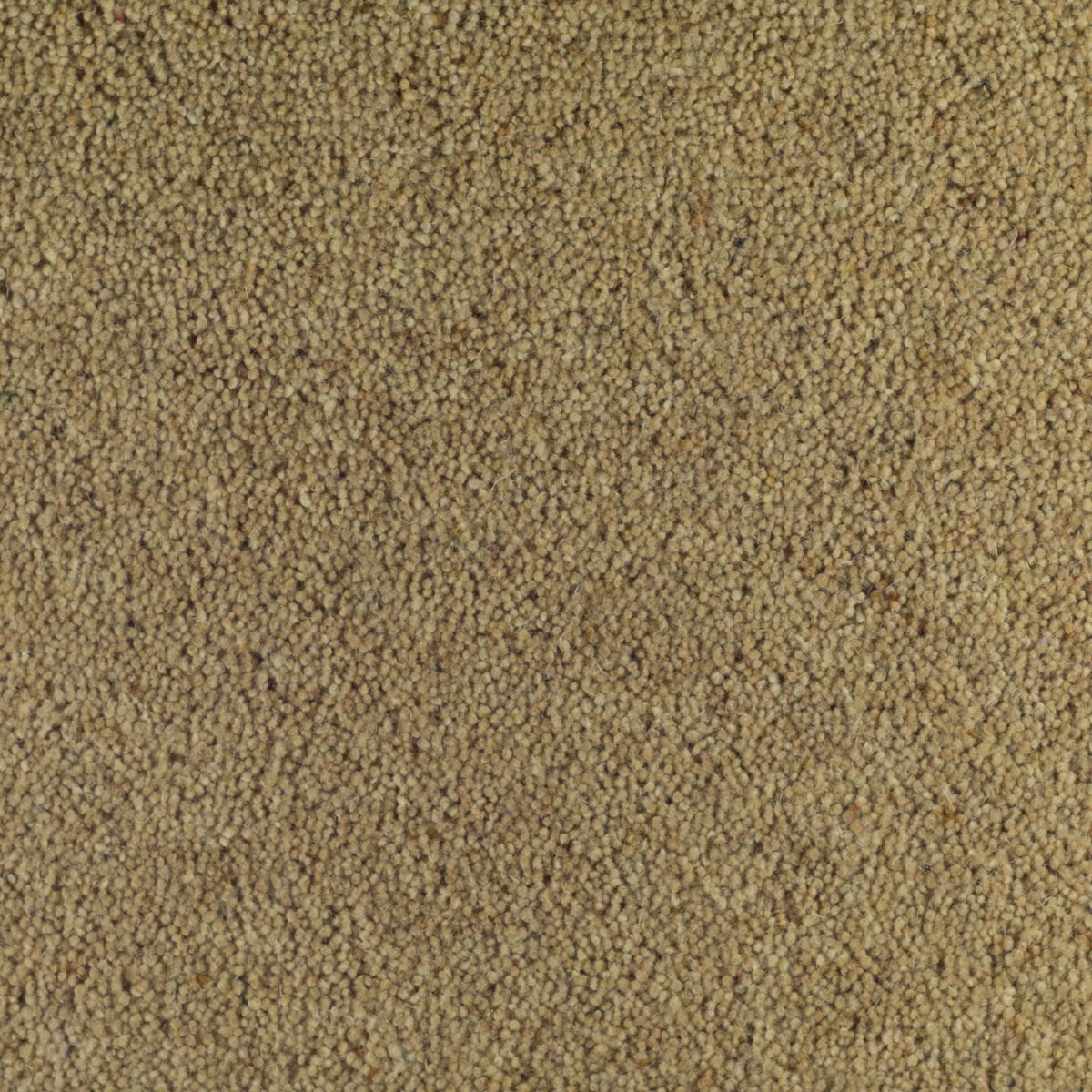 Fell Twist Elite Wildwood Fells Carpets