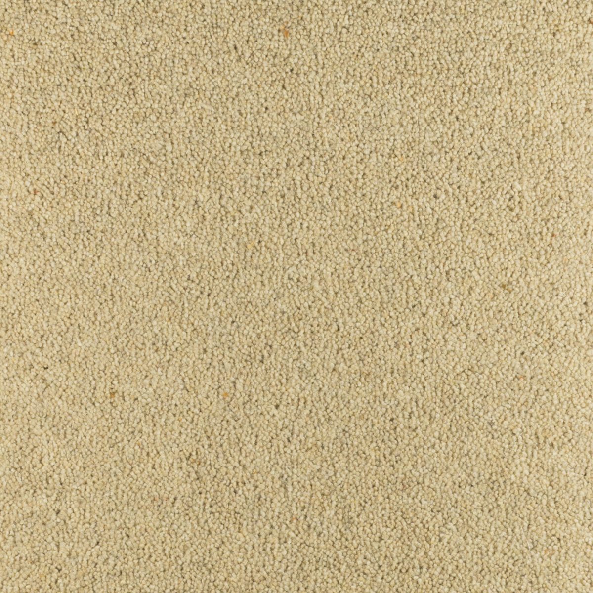 Natural Hessian - Fells Carpets